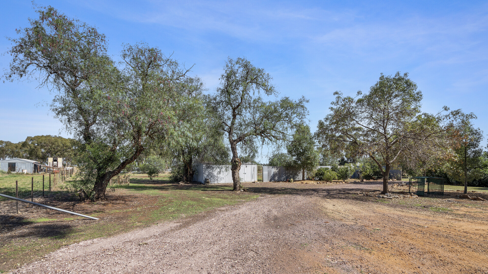 225 McNeil Road, Leeton NSW 2705 - photo 23
