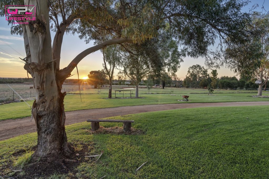 84 Tabain Road, Leeton NSW 2705 - photo 2