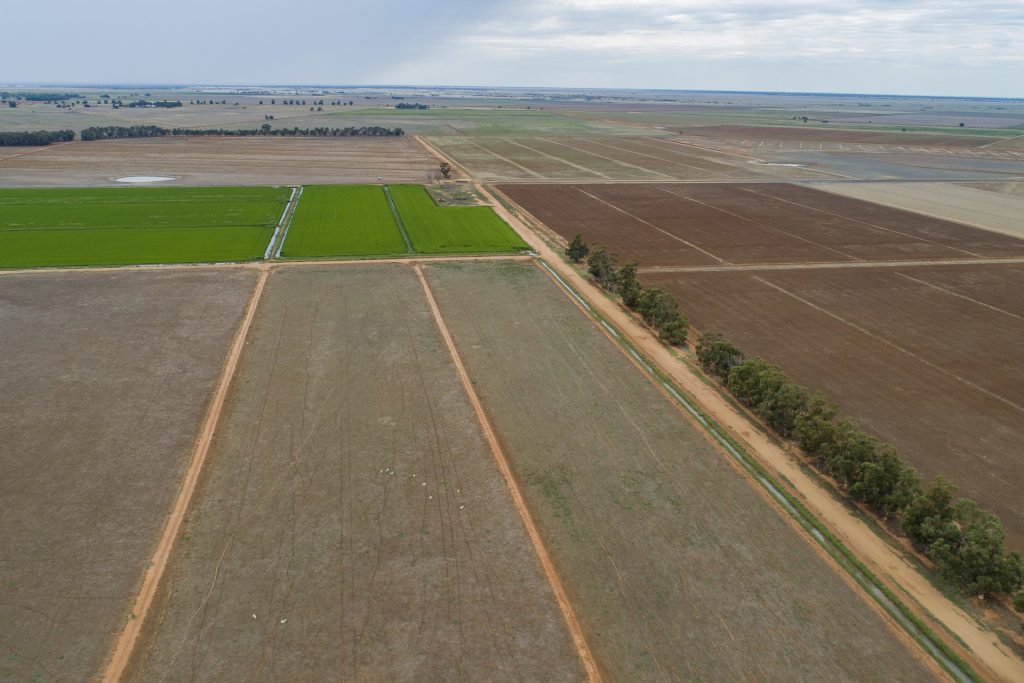 489 McLarty Road, Coleambally NSW 2707 - photo 7