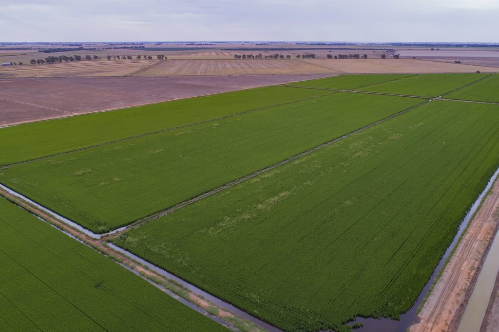 489 McLarty Road, Coleambally NSW 2707 - photo 8