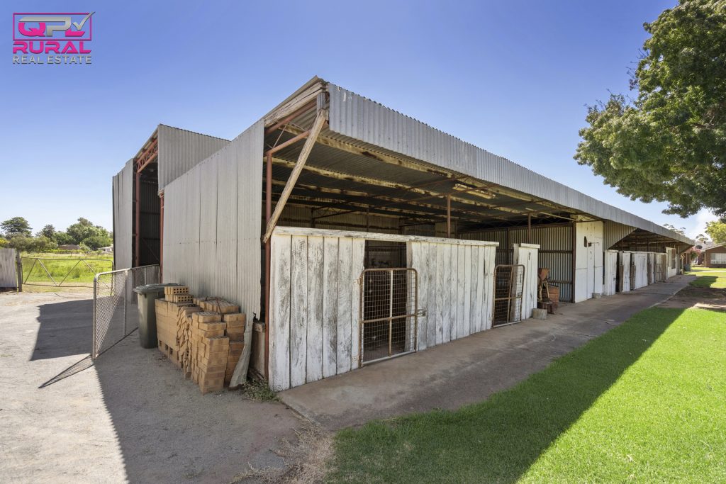 8 Argyle Street, Leeton NSW 2705 - photo 19