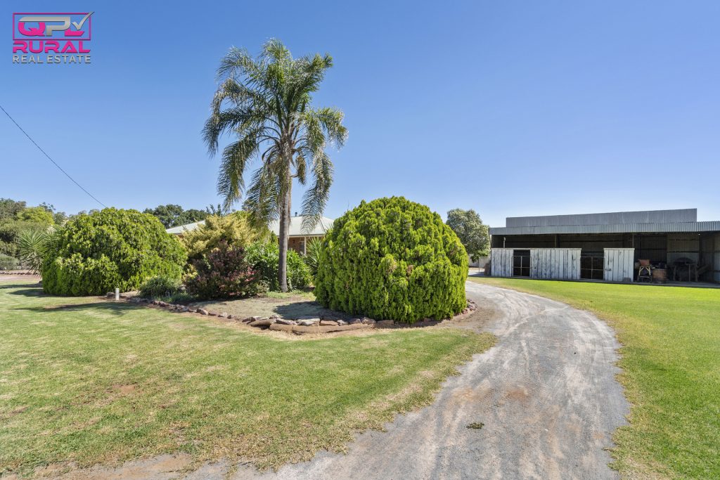 8 Argyle Street, Leeton NSW 2705 - photo 21