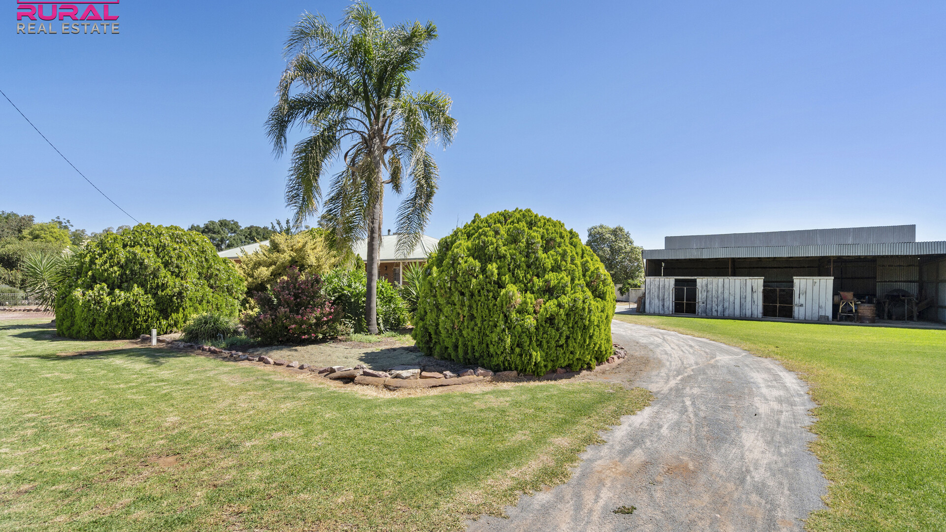 8 Argyle Street, Leeton NSW 2705 - photo 21