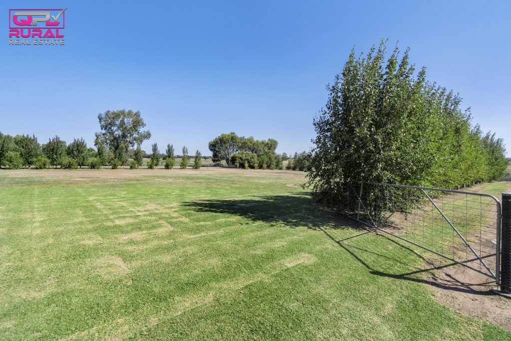 568 Hooey Road, Leeton NSW 2705 - photo 11