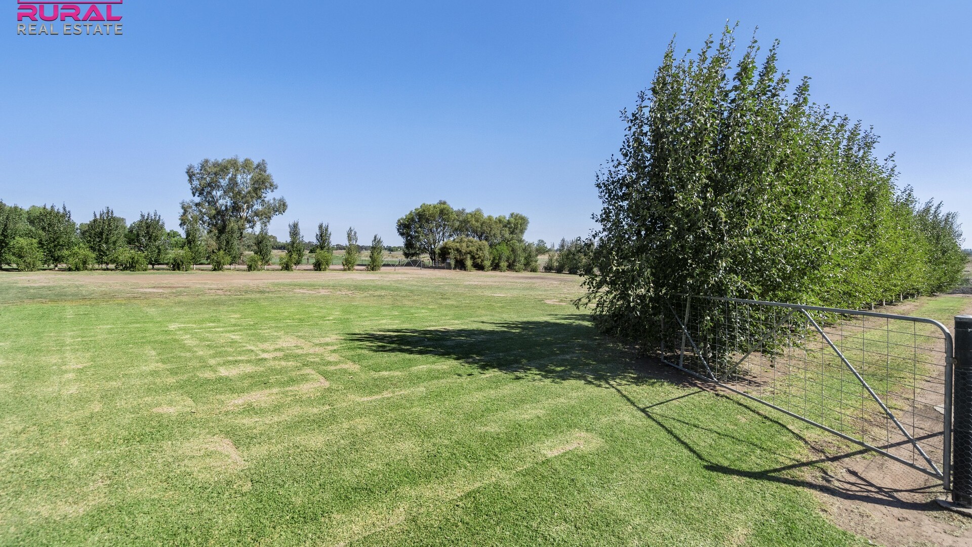 568 Hooey Road, Leeton NSW 2705 - photo 11