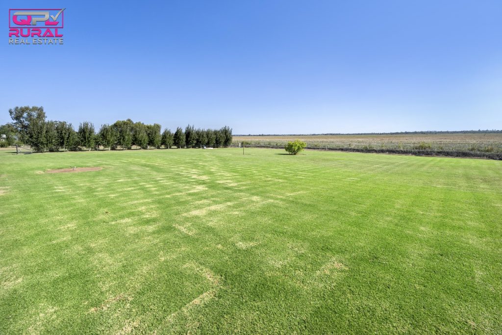 568 Hooey Road, Leeton NSW 2705 - photo 12