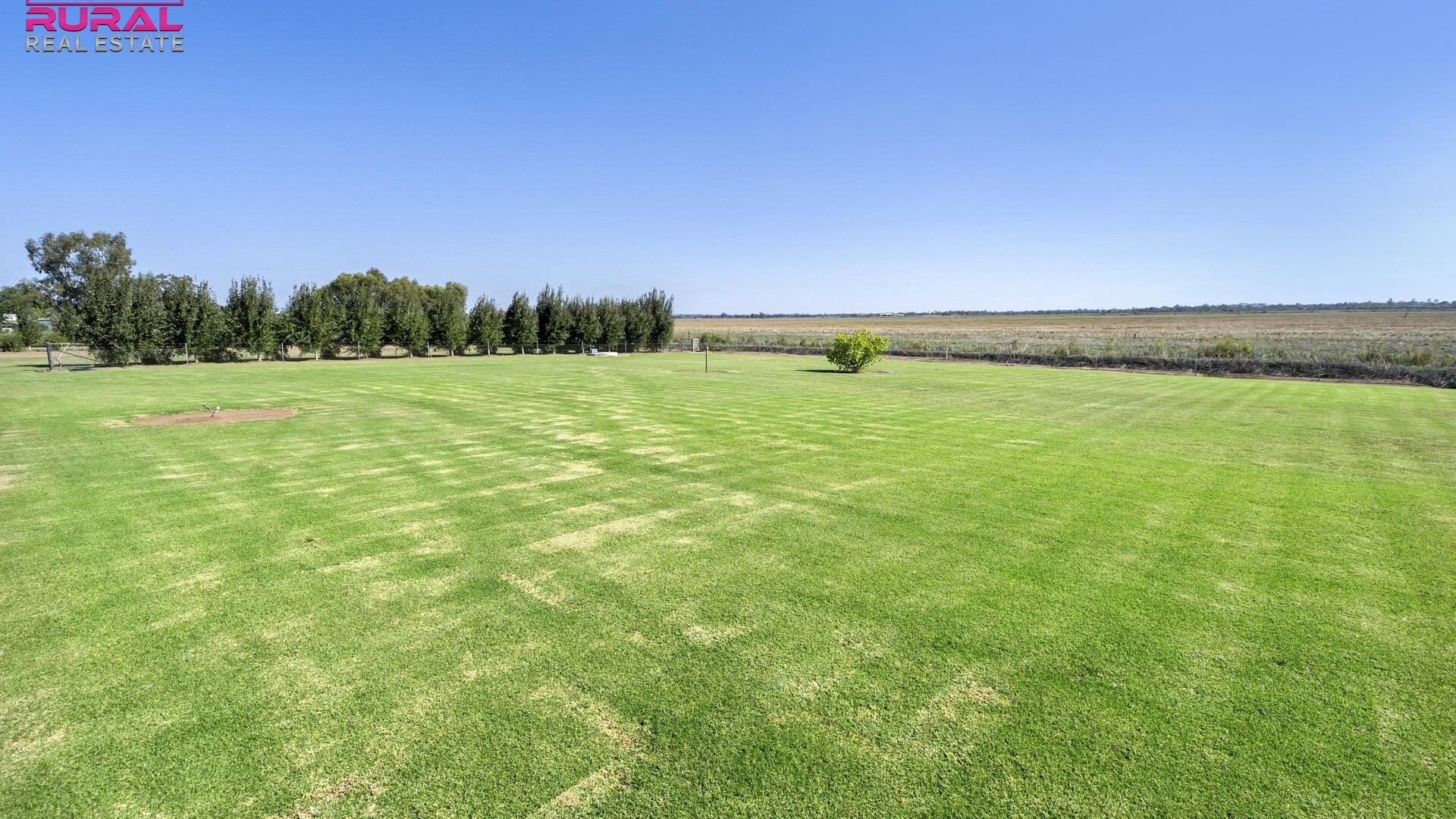 568 Hooey Road, Leeton NSW 2705 - photo 12