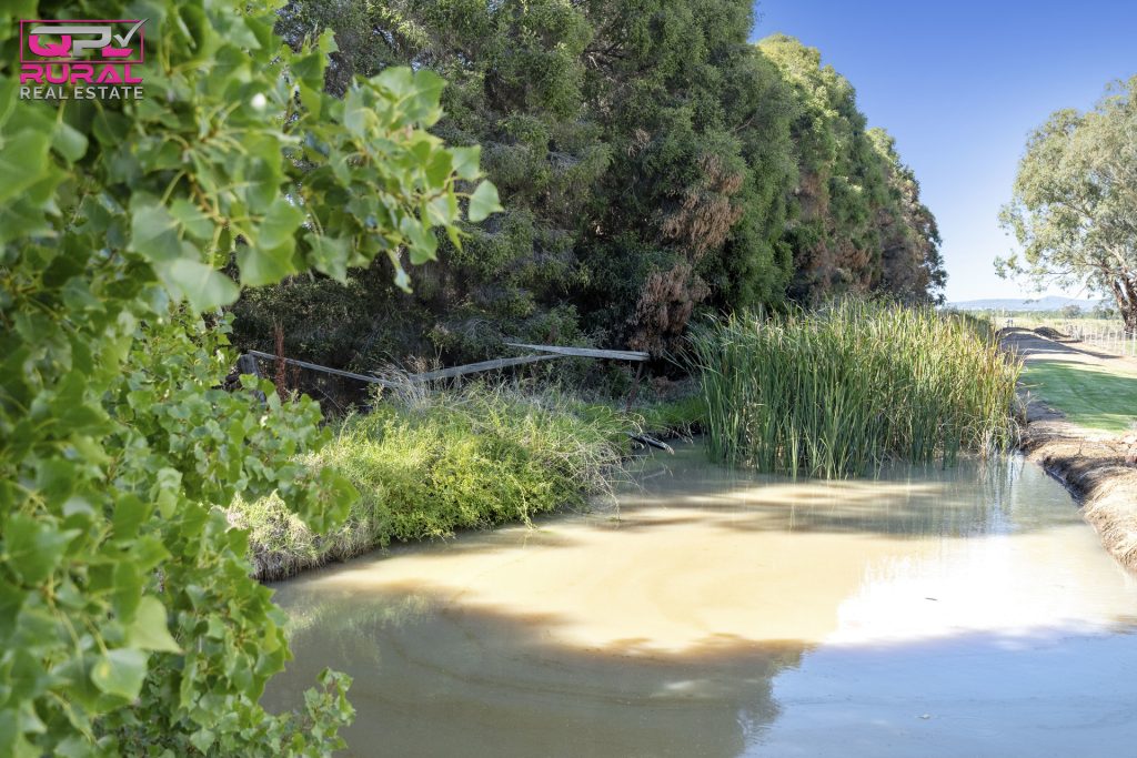 568 Hooey Road, Leeton NSW 2705 - photo 13