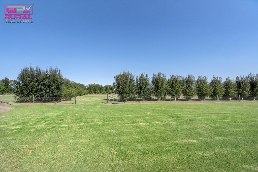 568 Hooey Road, Leeton NSW 2705 - photo 5