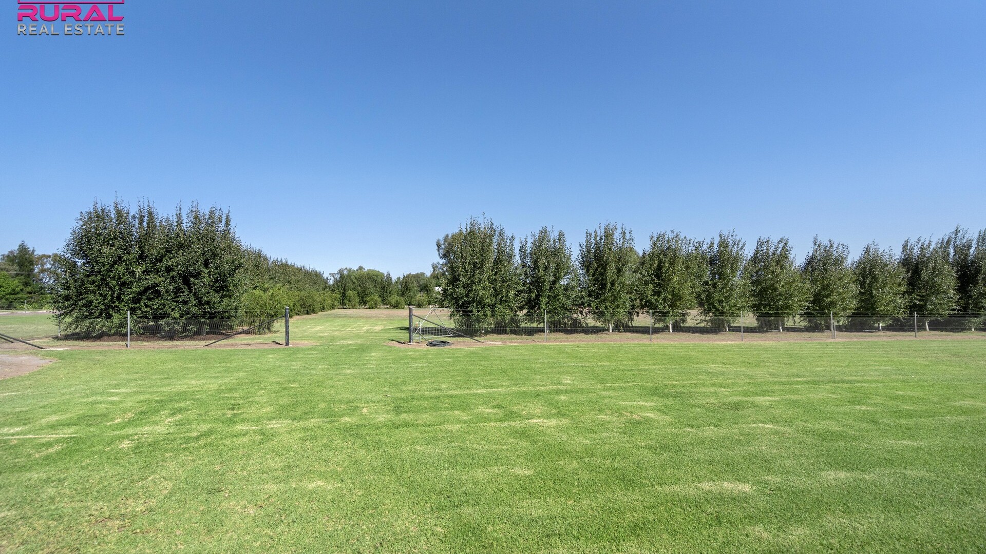 568 Hooey Road, Leeton NSW 2705 - photo 5