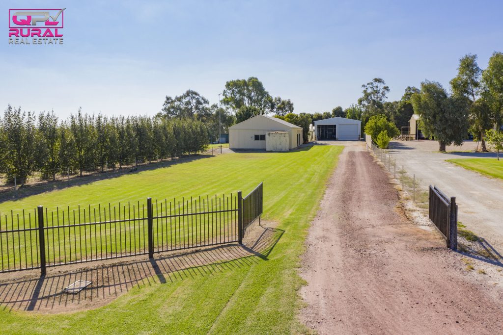 568 Hooey Road, Leeton NSW 2705 - photo 7