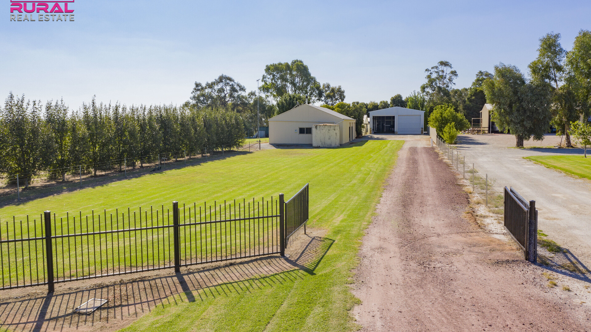 568 Hooey Road, Leeton NSW 2705 - photo 7