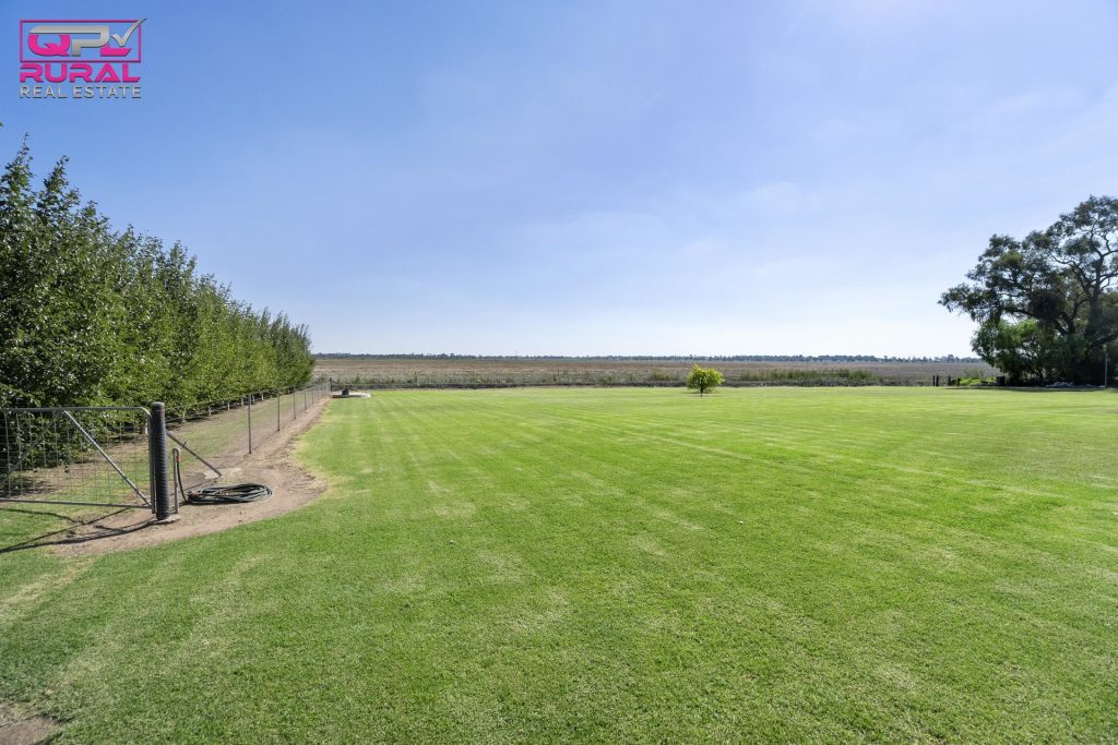 568 Hooey Road, Leeton NSW 2705 - photo 10
