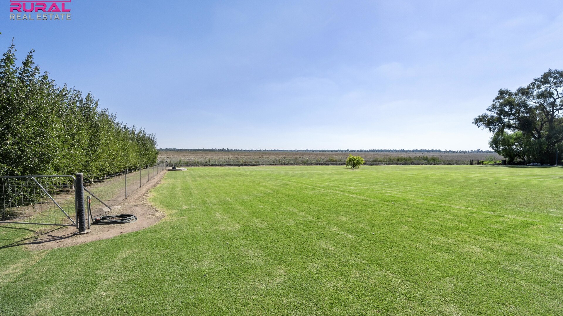 568 Hooey Road, Leeton NSW 2705 - photo 10