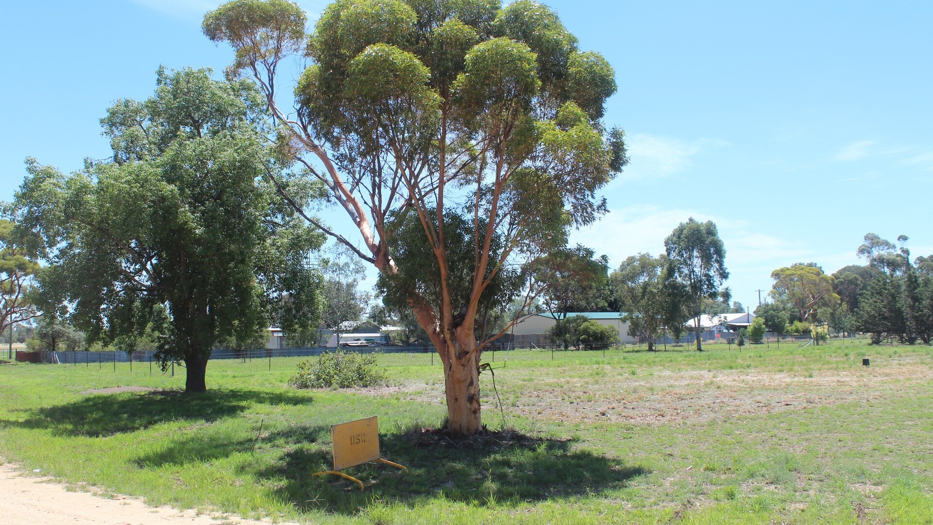 Goree Street, Morundah NSW 2700 - McGrath Riverina
