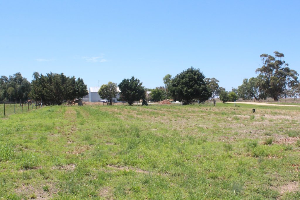 Goree Street, Morundah NSW 2700 - photo 3