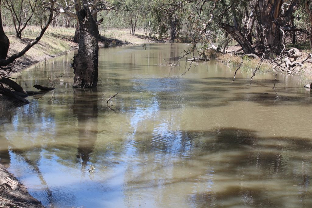 183 O'mahoneys Road, Morundah NSW 2700 - McGrath Riverina