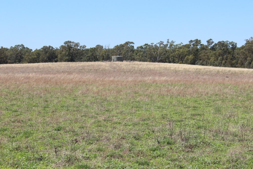 183 O'mahoneys Road, Morundah NSW 2700 - photo 3