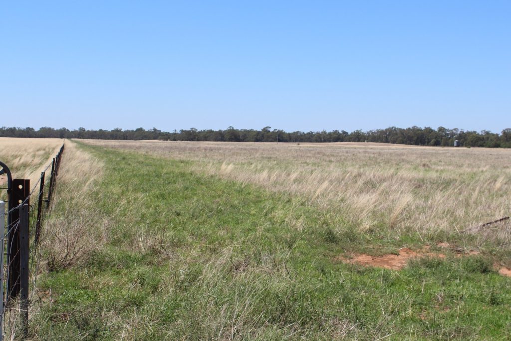 183 O'mahoneys Road, Morundah NSW 2700 - photo 4