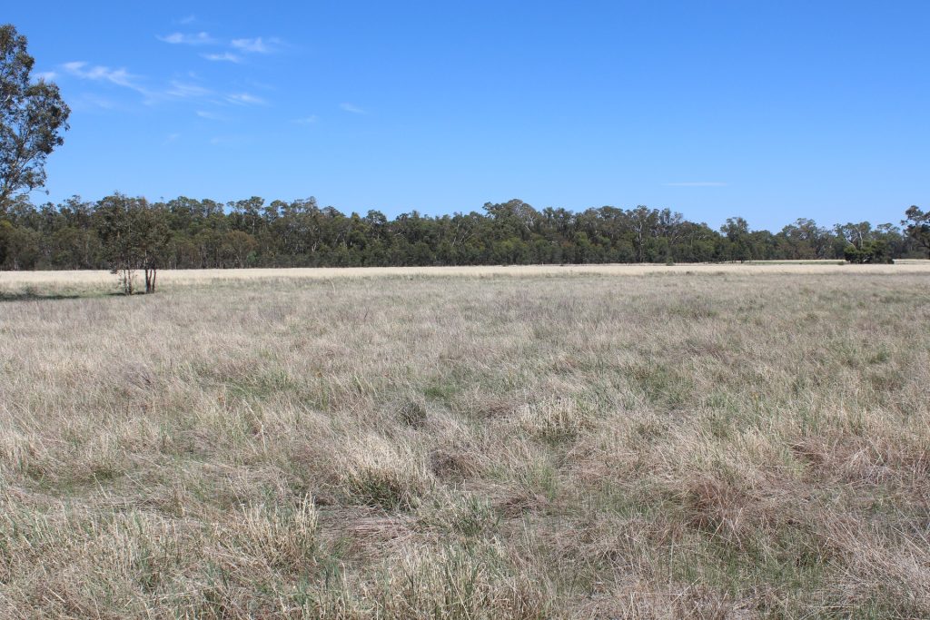 183 O'mahoneys Road, Morundah NSW 2700 - photo 6