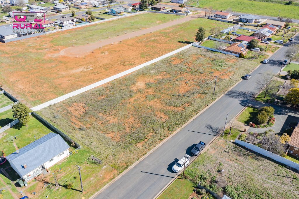 20 Beattie Street, Temora NSW 2666 - photo 4