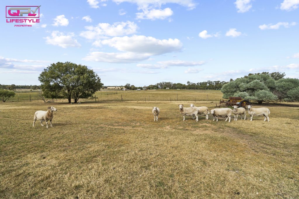 52 Paynters Siding Road, Narrandera NSW 2700 - photo 20