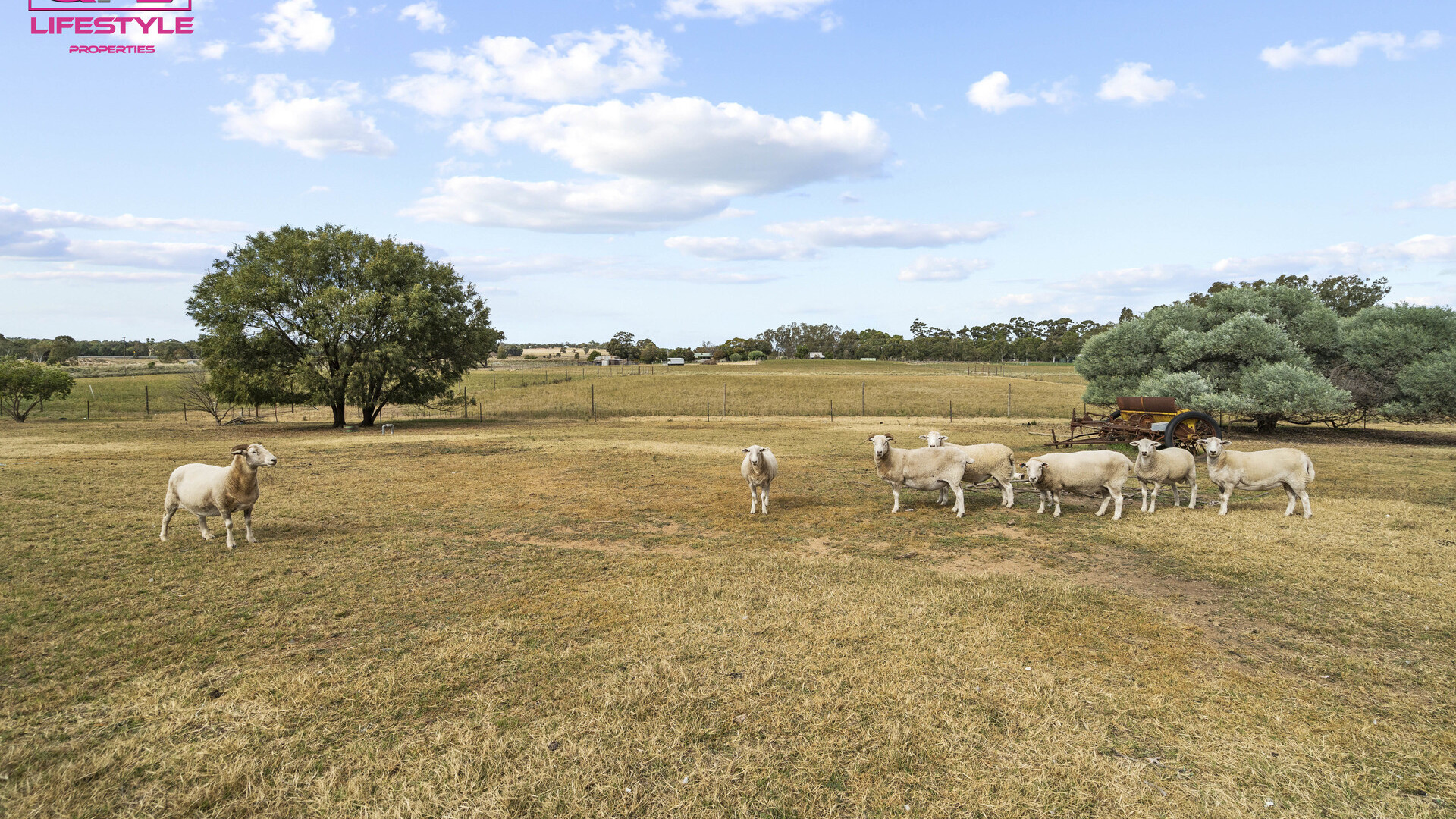 52 Paynters Siding Road, Narrandera NSW 2700 - photo 20