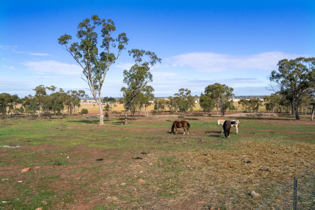 Sold - 280 Brobenah Hall Road - New Property in Leeton - Real Estate by Andrew Pellow