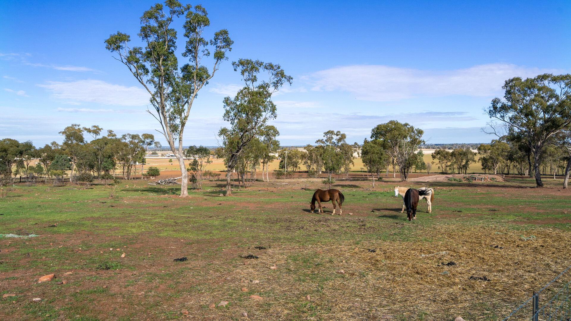 Sold - 280 Brobenah Hall Road - New Property in Leeton - Real Estate by Andrew Pellow