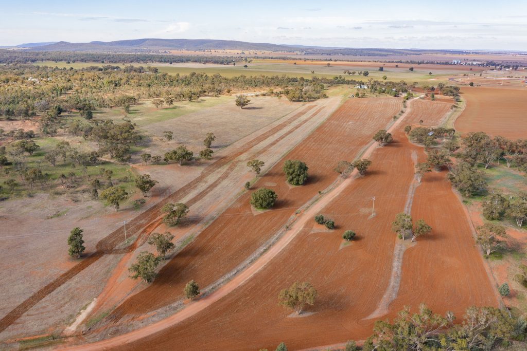 Sold - 280 Brobenah Hall Road - New Property in Leeton - Real Estate by Andrew Pellow