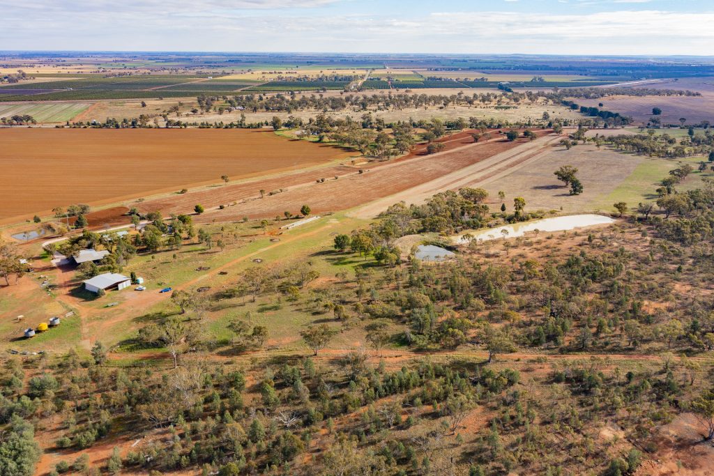 Sold - 280 Brobenah Hall Road - New Property in Leeton - Real Estate by Andrew Pellow