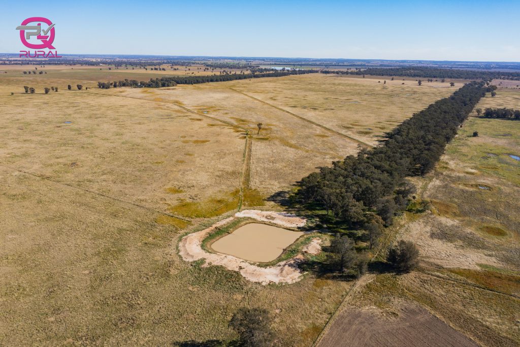 376 Yiddah Road, West Wyalong NSW 2671 - photo 2
