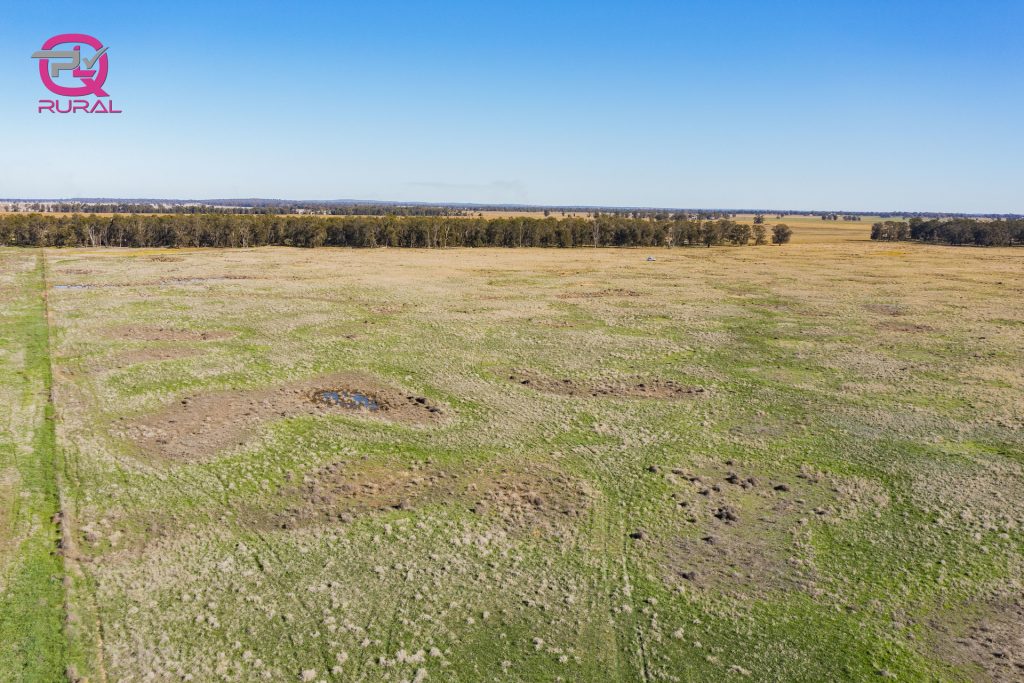 376 Yiddah Road, West Wyalong NSW 2671 - photo 11