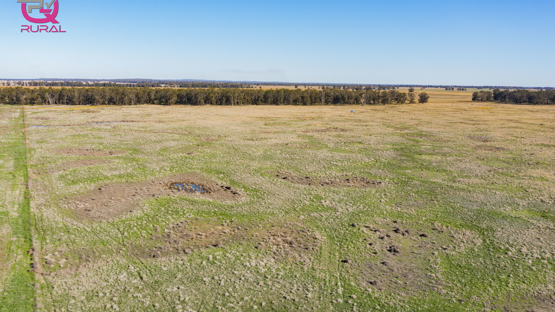 376 Yiddah Road, West Wyalong NSW 2671 - photo 11