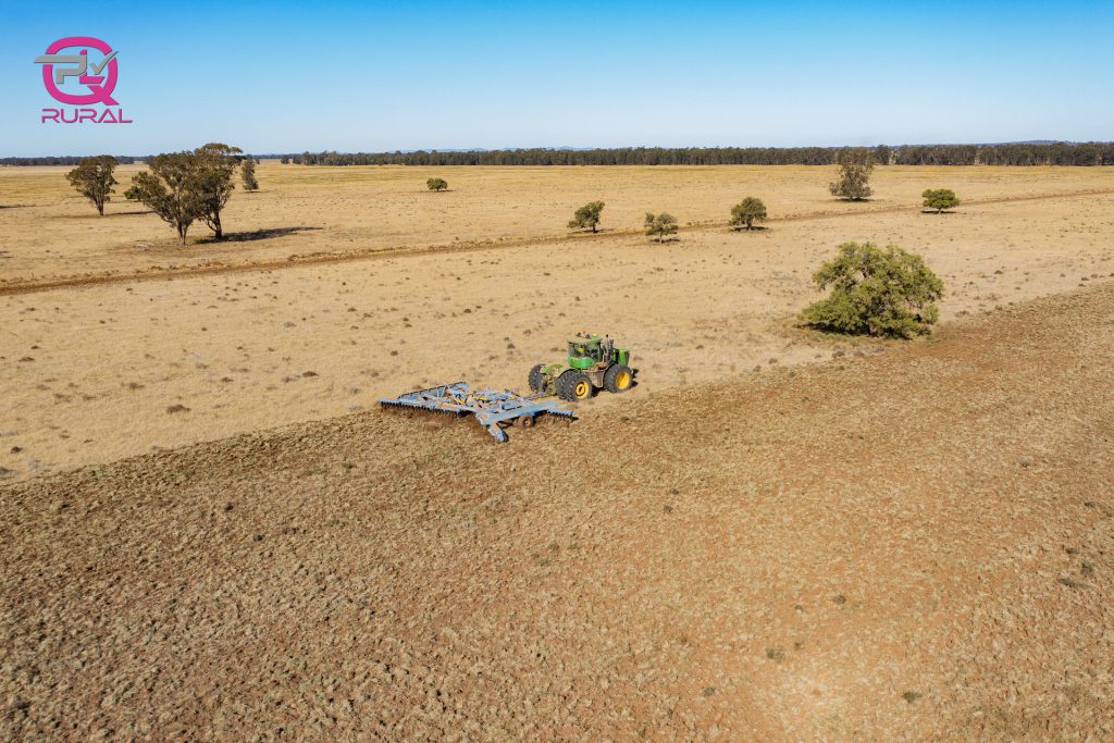 376 Yiddah Road, West Wyalong NSW 2671 - photo 13