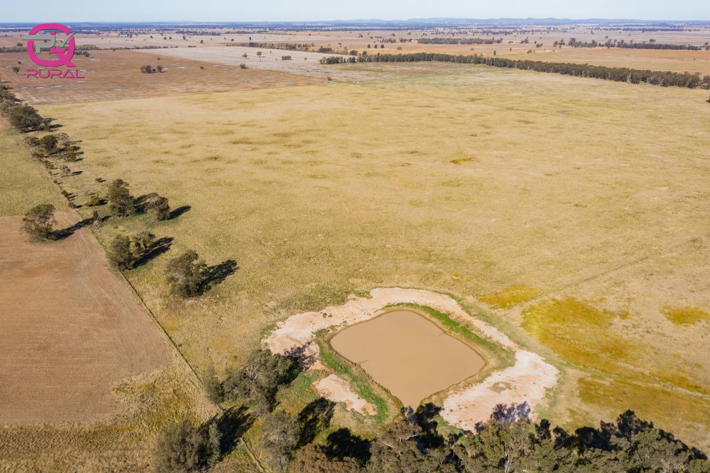 376 Yiddah Road, West Wyalong NSW 2671 - photo 14