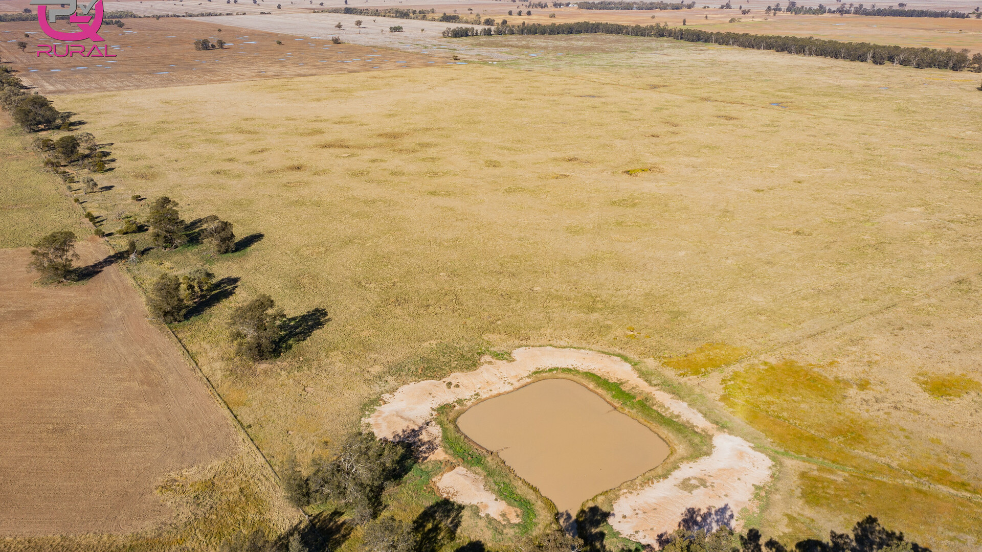 376 Yiddah Road, West Wyalong NSW 2671 - photo 14