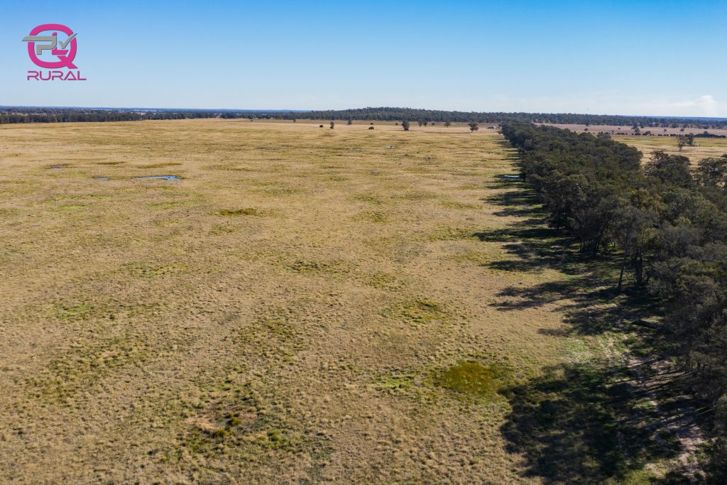 376 Yiddah Road, West Wyalong NSW 2671 - photo 15