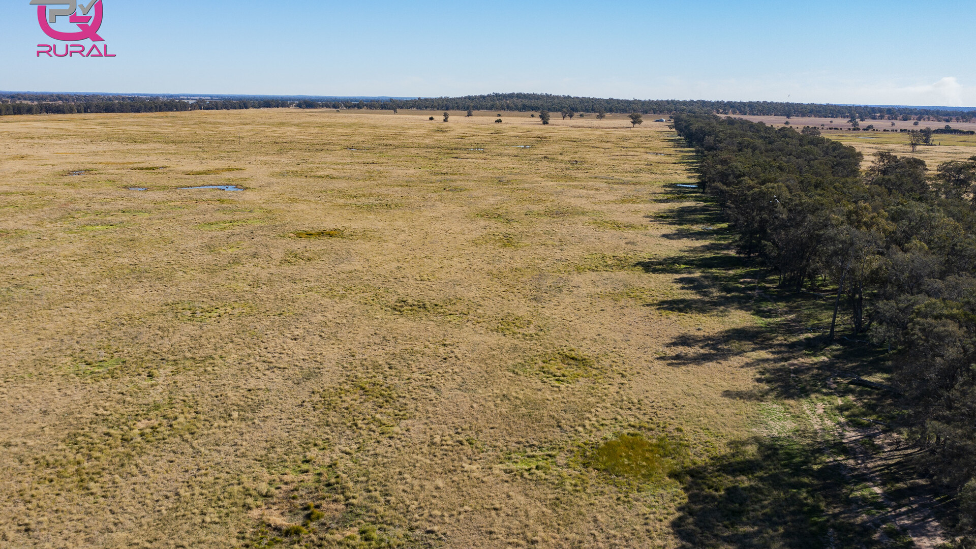 376 Yiddah Road, West Wyalong NSW 2671 - photo 15
