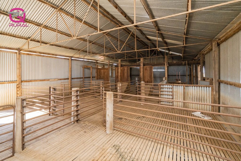 376 Yiddah Road, West Wyalong NSW 2671 - photo 17