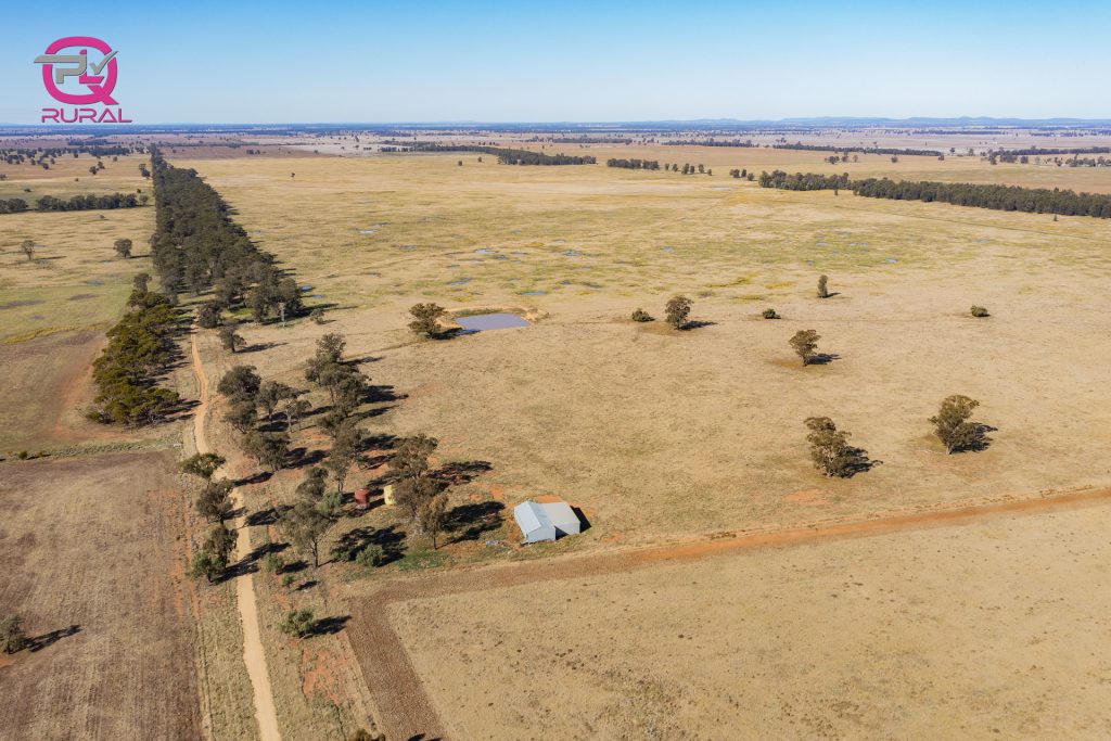 376 Yiddah Road, West Wyalong NSW 2671 - photo 3