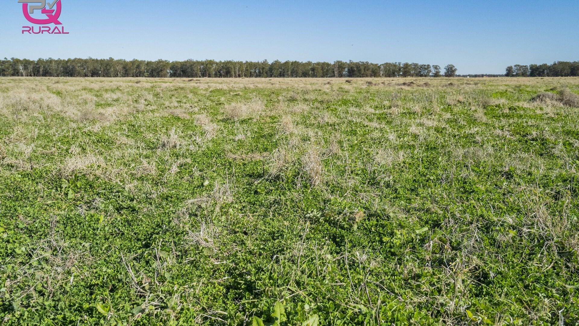 376 Yiddah Road, West Wyalong NSW 2671 - photo 4