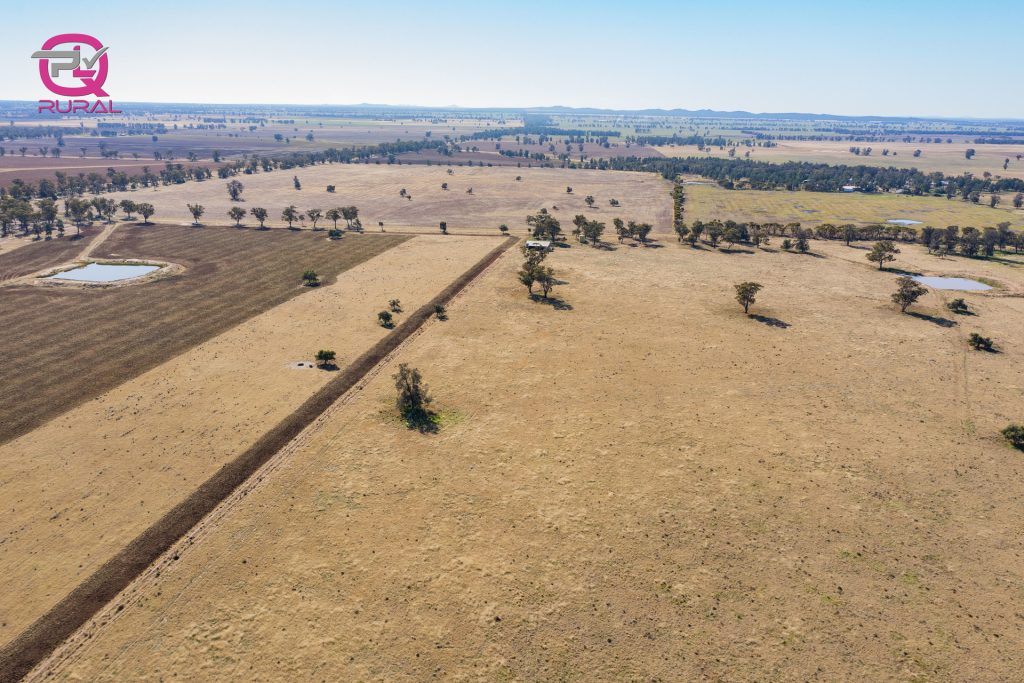 376 Yiddah Road, West Wyalong NSW 2671 - photo 5