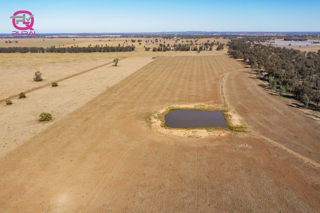 376 Yiddah Road, West Wyalong NSW 2671 - photo 6