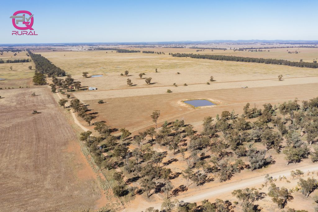 376 Yiddah Road, West Wyalong NSW 2671 - photo 7