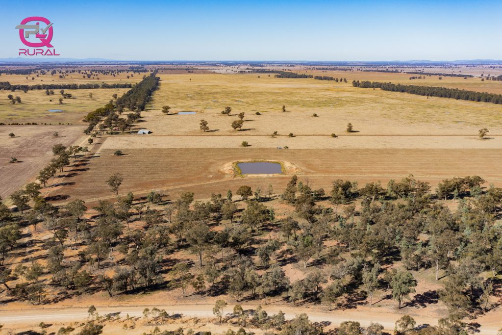 376 Yiddah Road, West Wyalong NSW 2671 - photo 8
