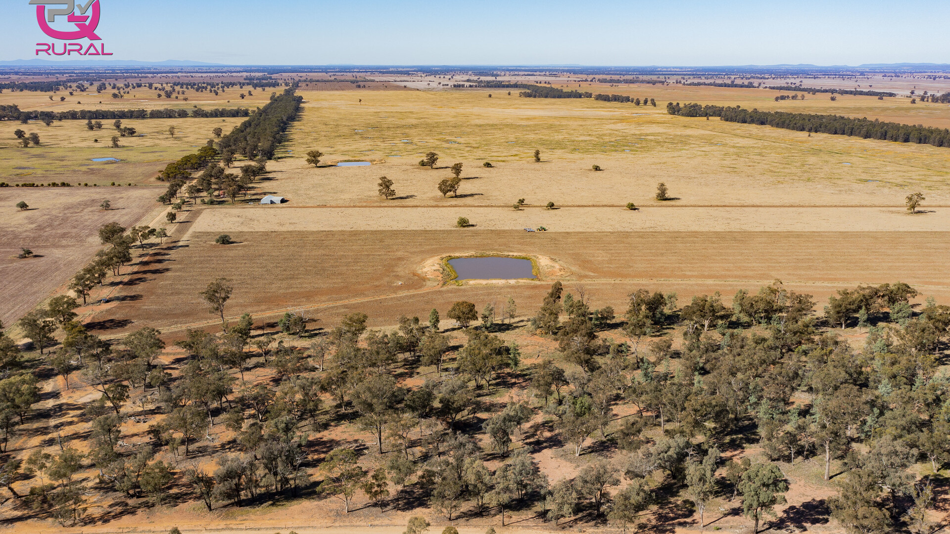 376 Yiddah Road, West Wyalong NSW 2671 - photo 8