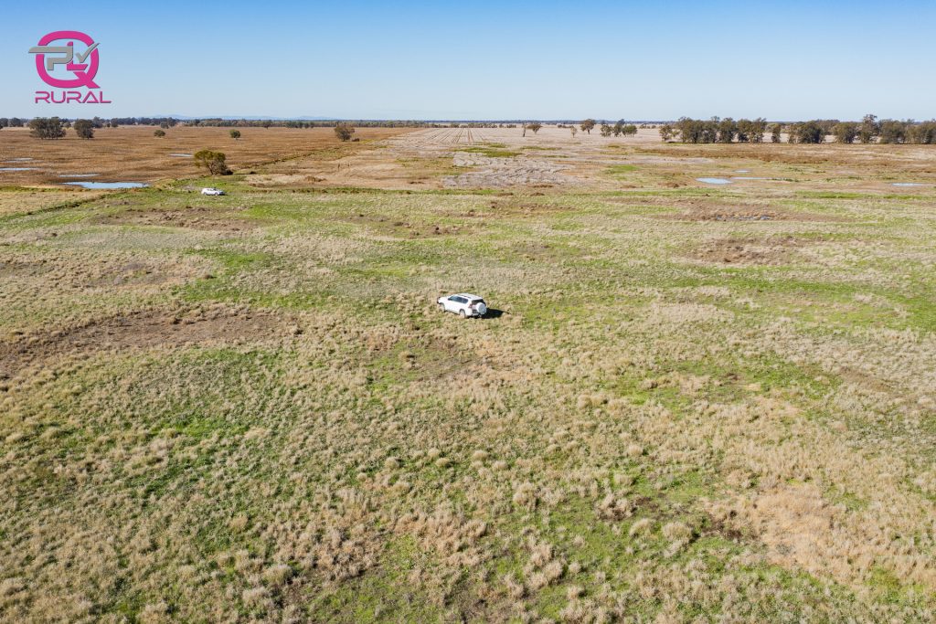 376 Yiddah Road, West Wyalong NSW 2671 - photo 10