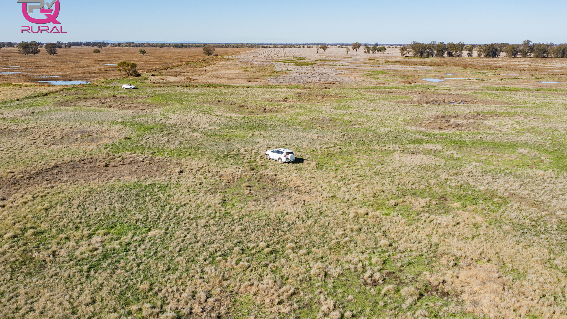 376 Yiddah Road, West Wyalong NSW 2671 - photo 10
