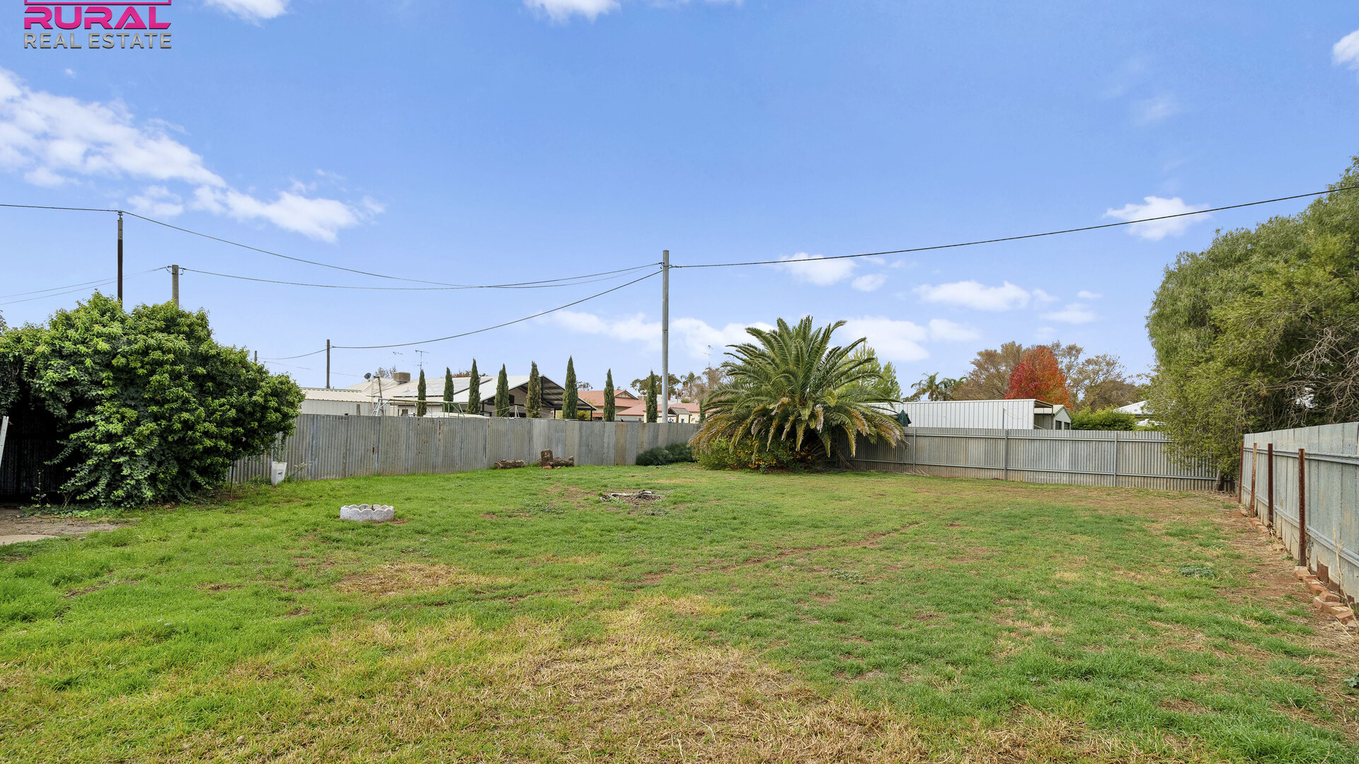 157 Palm Avenue, Leeton NSW 2705 - photo 11